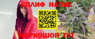 амф Дубна