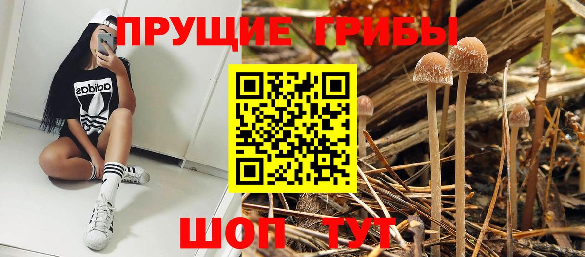 Кандалакша  Галлюциногенные грибы мухоморы  Вход с VPN  Псилоцибиновые грибы Magic Shrooms 