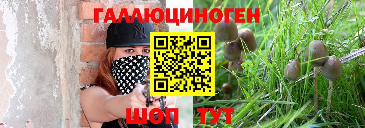 Галлюциногенные грибы ЛСД Кандалакша